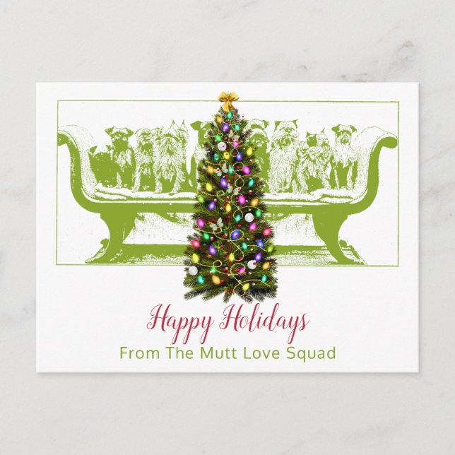Dog Pack Lined Up On Sofa Dog Walker Holiday Card (Front)