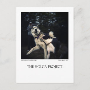 Dog Park Postcard 13