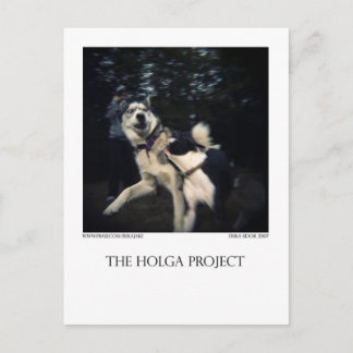 Dog Park Postcard 13