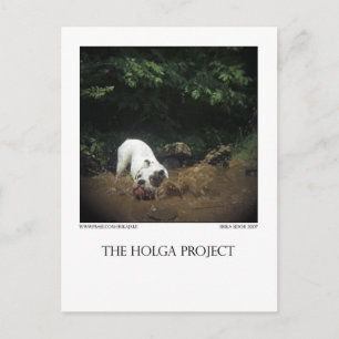 Dog Park Postcard 14