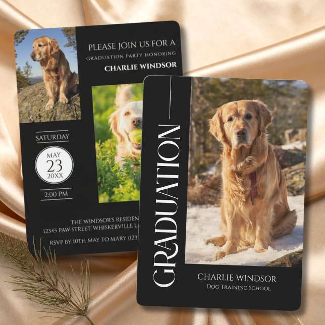 Dog Party Black & White Graduation Invitation (Dog Graduation Invitation cards)