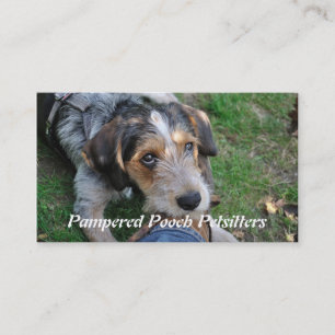 Dog pathos petsitting business card