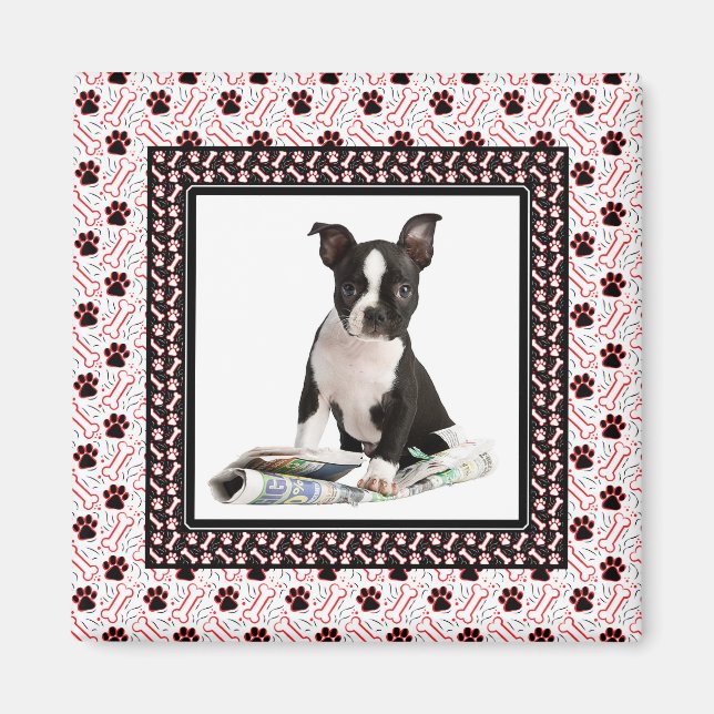 Dog Paw and Bone Pet Photo Template Magnet (Front)