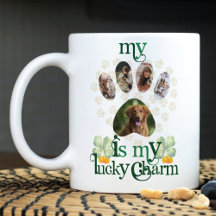 Dog Paw Photos St Patrick's Day Personalised