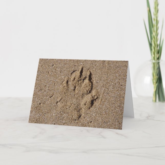 Dog Paw Print in Sand Card (Front)