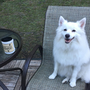 Dog Paw Typography Coffee Lover's Cute Speciality Mug