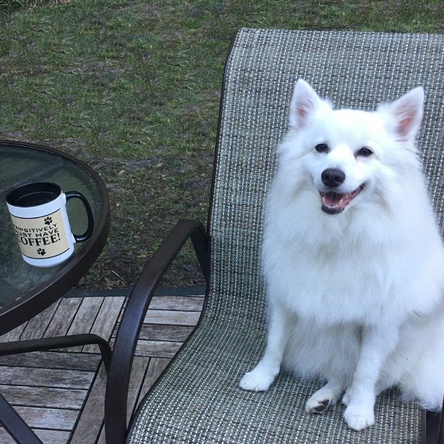 Dog Paw Typography Coffee Lover's Cute Speciality Mug (Dog Paw Typography Coffee Lover's Cute Specialty Mug)