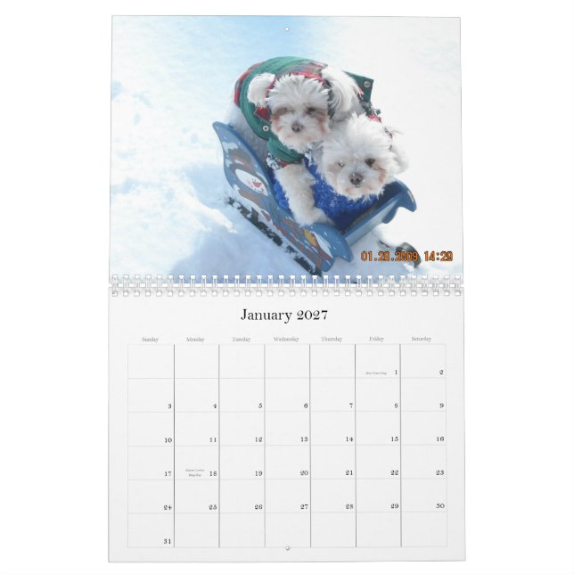 Dog Pawfile Calendar 2010 (Jan 2027)