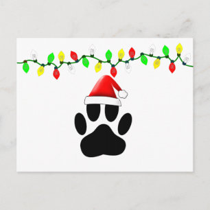 Dog Pawprint Santa Hat Christmas Lights Holiday Postcard