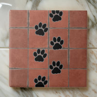 Dog Paws Terracotta Floor Trail of Paws |  