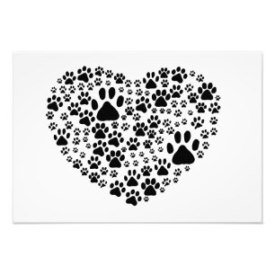 Dog Paws, Trails, Paw-prints, Heart - Black Photo Print