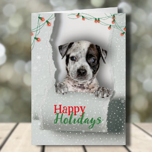 Dog Peeking Christmas Lights Holiday Card