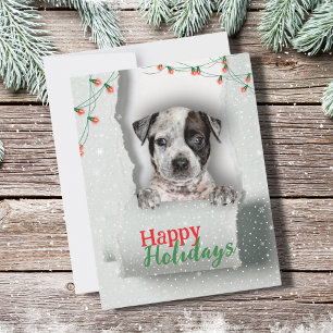 Dog Peeking Christmas Lights Holiday Card