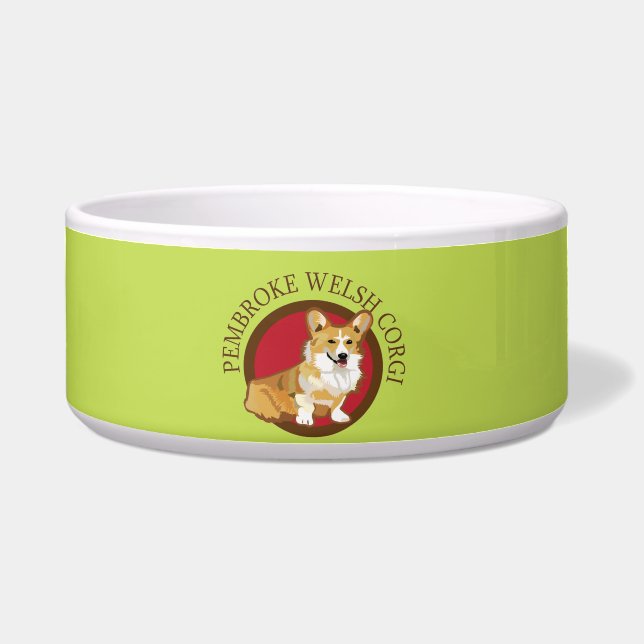 Dog pembroke welsh corgi (Front)
