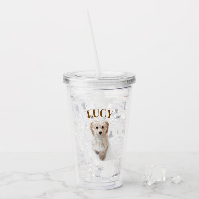 Dog Personalised Acrylic Tumbler with Custom Name (Front Ice)