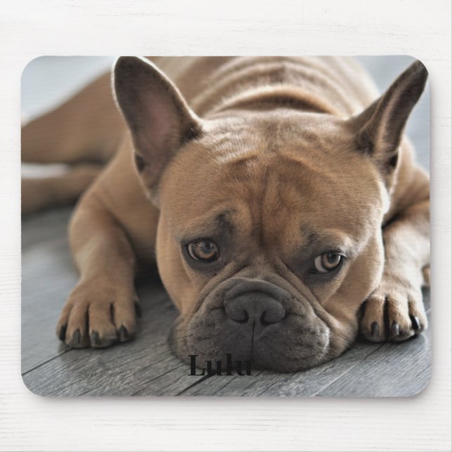Dog Personalised Photo Mouse Pad (Front)