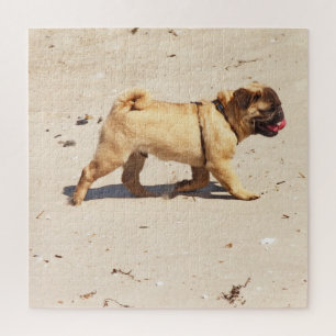 dog, pet, cute, animal, breed, puzzle,,puppy, jigsaw puzzle