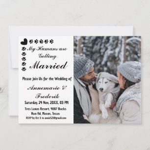 Dog pet Lover Wedding Invitation
