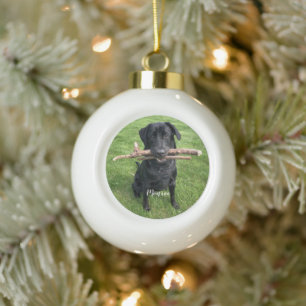 Dog Pet Personalised Name and Photo Ceramic Ball Christmas Ornament