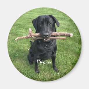 Dog Pet Personalised Name and Photo Holiday Magnet