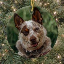 Dog Pet Photo Christmas