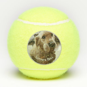 Dog Pet Photo Name Playtoy Tennis Balls