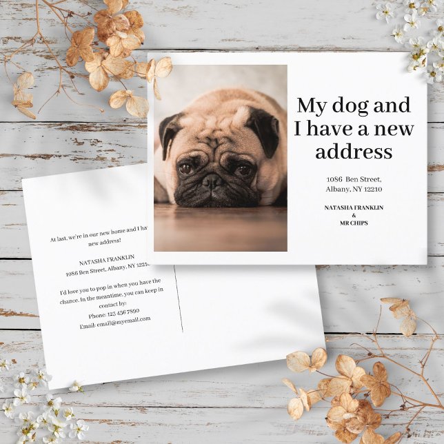 Dog Pet Photo New Address I've Moved Modern  Announcement Postcard (Dog Pet Photo New Address I've Moved Modern Announcement Postcard)