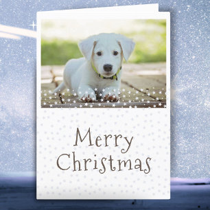 Dog Pet Photo Stars Merry Christmas Holiday Card