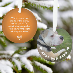 Dog Pet Poem Photo Orange Memorial Keepsake Ornament