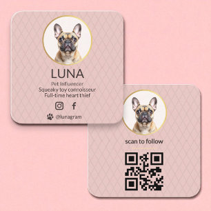  Dog Pet Social Media QR Code Blush Pink Photo  Square Business Card