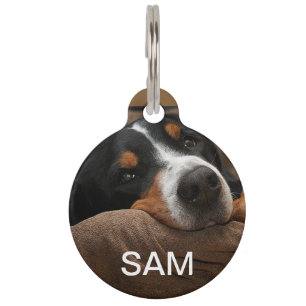 Dog Pet Tag