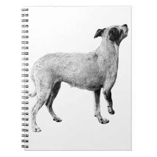 "dog phone cover" "soft mono case" "scratch safe s notebook