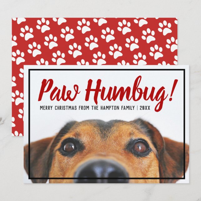 Dog Photo Bah Humbug Christmas Pet Holiday Card (Front/Back)