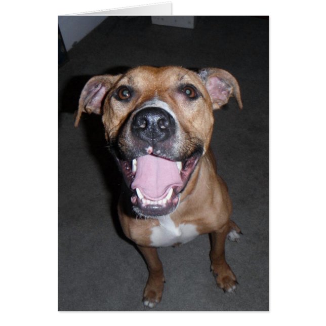 Dog Photo Card - Annie (Front)