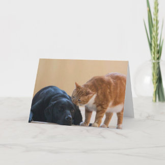 Dog Photo Card - Davy and Friend