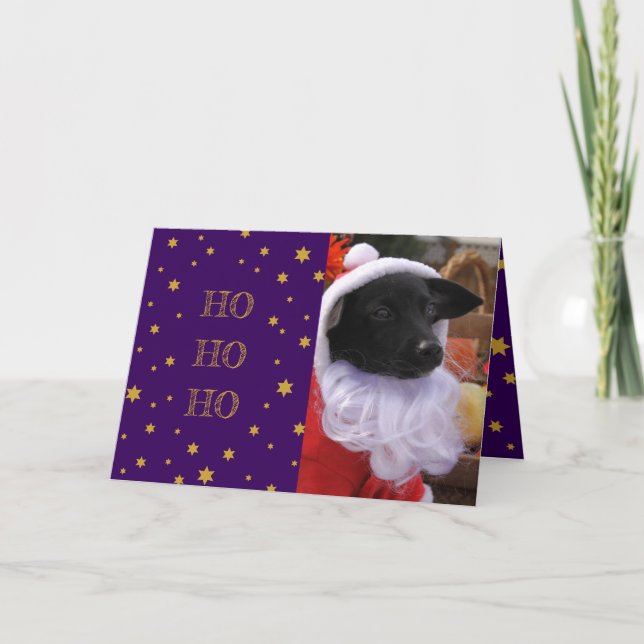Dog Photo Christmas Card or Add Your Own Pet Photo (Front)