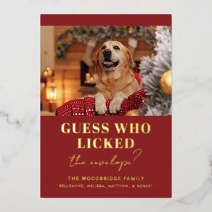 Dog Photo Christmas Funny