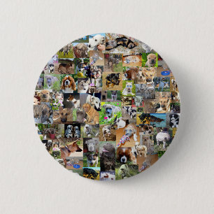 Dog Photo Collage, 6 Cm Round Badge