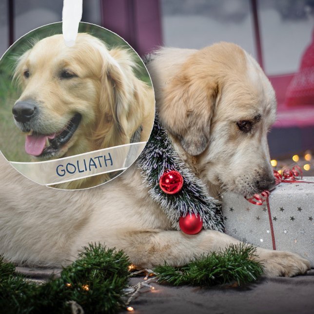 Dog Photo Custom Acrylic Christmas Ornament (Creator Uploaded)