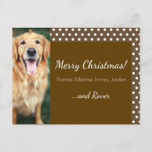 Dog Photo Family Name Polka Dot Holiday Postcard