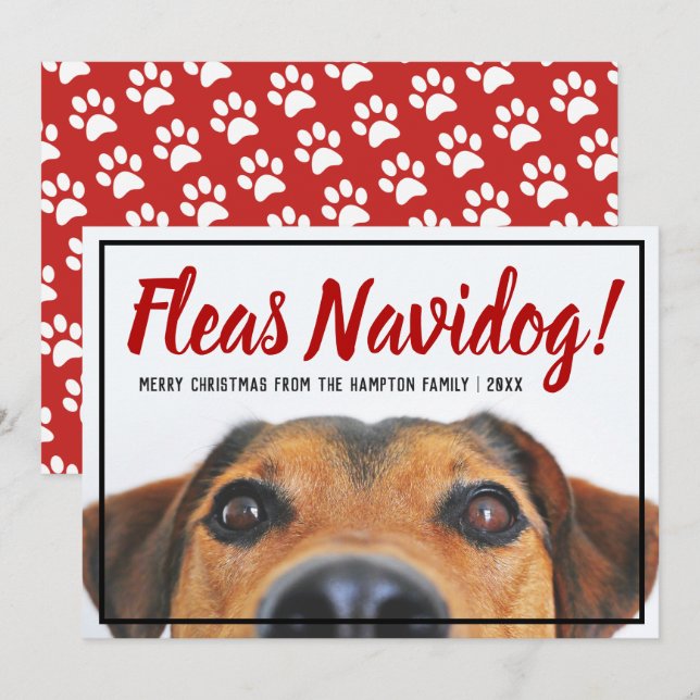 Dog Photo Funny Feliz Navidad Christmas Pet Holiday Card (Front/Back)