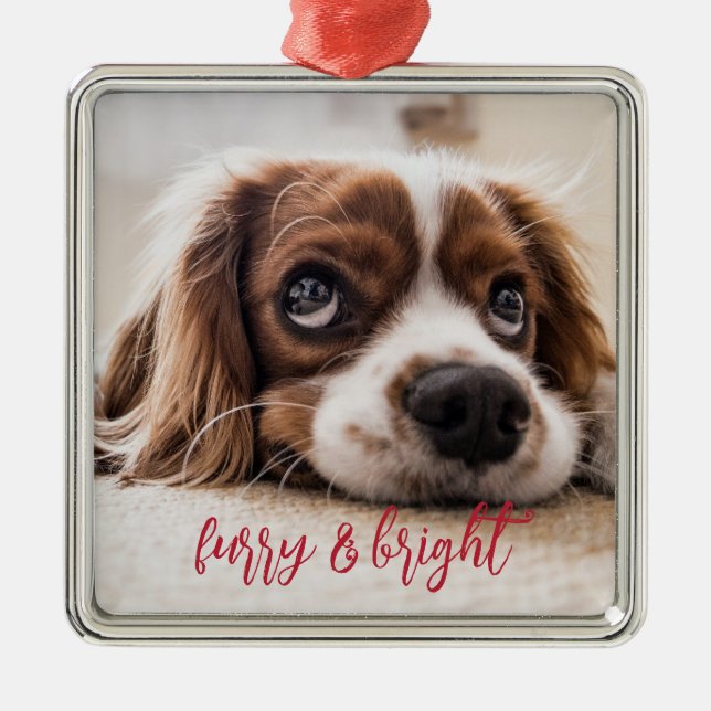 Dog Photo Furry And Bright Christmas Metal Tree Decoration (Front)