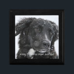 Dog Photo Gift For Mum And Dad From The Dog Gift Box<br><div class="desc">A keepsake Christmas gift box from your dog,  featuring your beloved pet or pets photo. Replace this sample photo with a photo of your sweet dog.</div>