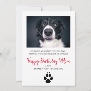 Dog Photo Happy Birthday Mum Card From Rescue Dog
