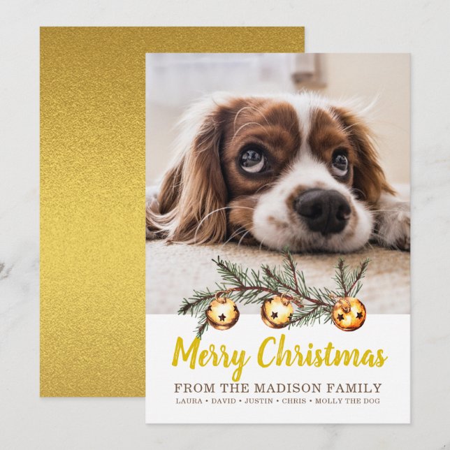 Dog Photo Merry Christmas Family Name Gold Foil Holiday Card (Front/Back)