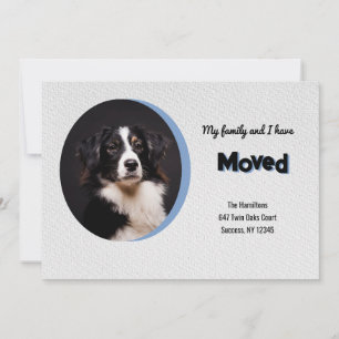 Dog Photo Moving Announcement