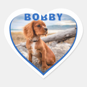 Dog Photo Name Blue Heart Dog  Sticker