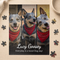 Dog Photo Name Cute Saying