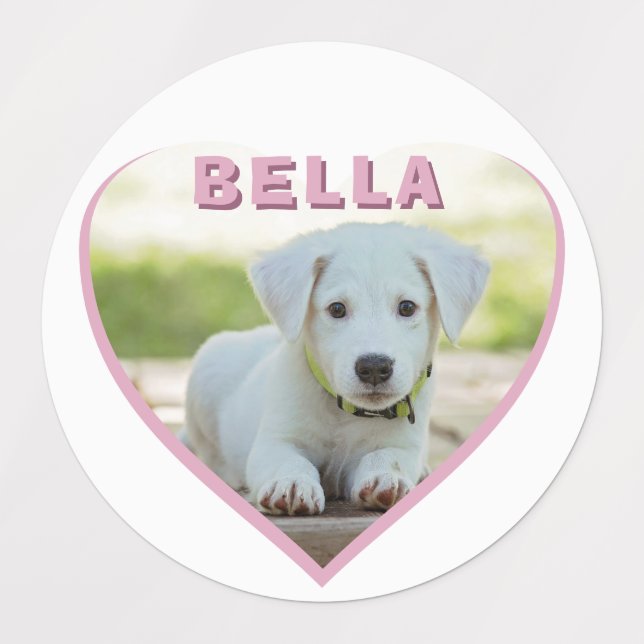 Dog Photo Name Pink Heart Pet (Design 1)