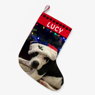 Dog Photo & Name Red Black Paw Prints Small Christmas Stocking
